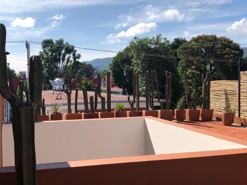 Casa Cronica Apartment Oaxaca Exterior photo
